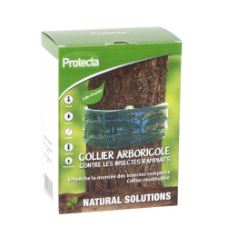 Collier anti-insectes rampants – Protégez vos arbres | PROTECTA