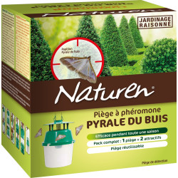 Piège Pyrale Buis NATUREN – Protégez vos buis | NATUREN