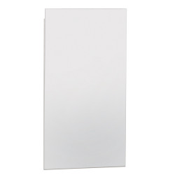 Miroir Adept 79,4 x 42 x 2 cm ALLIBERT