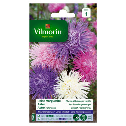 Semences Reine Marguerite Plume d'Autruche – Fleurs Variées | VILMORIN