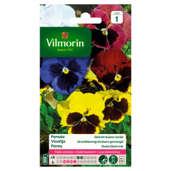 Semences Pensée Géante Suisse Variée – Fleurs Éclatantes | VILMORIN