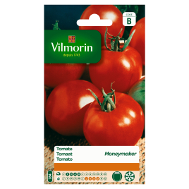 Semences de tomate Moneymaker VILMORIN