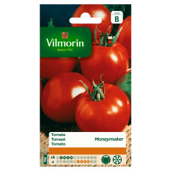 Semences Tomate Moneymaker – Récolte Abondante | VILMORIN