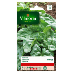 Semences Épinard Viking 15g – Récolte Facile | VILMORIN