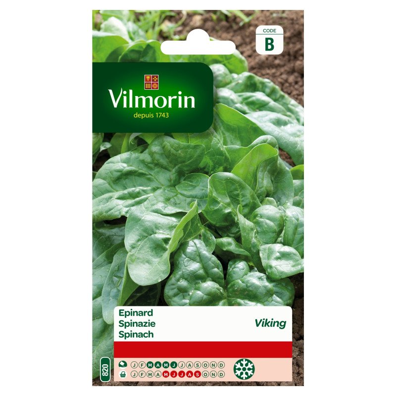 Semences d'épinard Viking 15 g VILMORIN