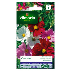 Semences Cosmos Sensation Varié – Fleurs Éclatantes | VILMORIN