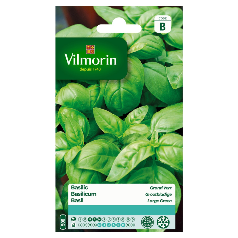 Semences de basilic Grand vert VILMORIN