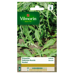 Semences Roquette Cultivée 5g VILMORIN – Saveur Rapide | VILMORIN