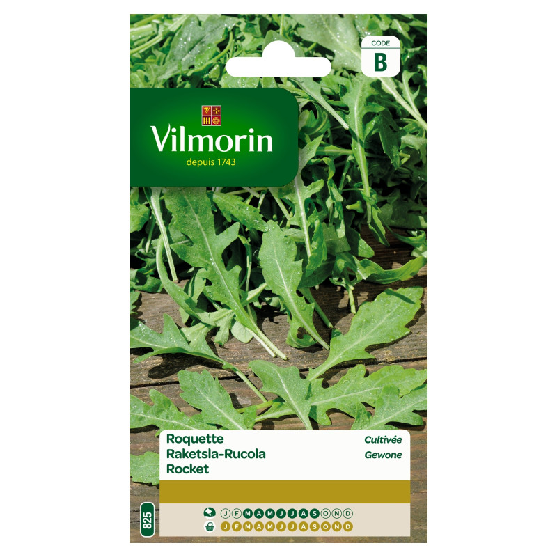 Semences de roquette cultivée 5 g VILMORIN