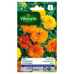 Semences Souci Double Varié VILMORIN – Fleurs Colorées | VILMORIN