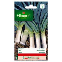 Semences Poireau Bleu Solaise – Culture Facile | VILMORIN