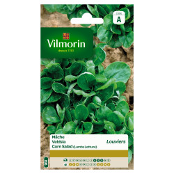 Semences de mâche Louviers – Récolte Facile | VILMORIN