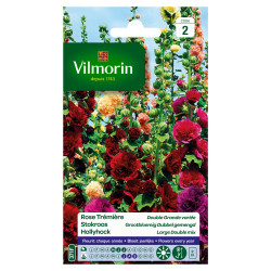 Semences Rose Trémière Double Variée – Fleurs Éclatantes | VILMORIN