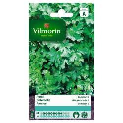 Semences Persil Commun VILMORIN – Cultivez Facile | VILMORIN