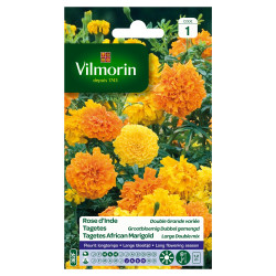 Semences Rose d'Inde Double Grande Variée – Fleurs Vives | VILMORIN