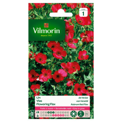 Semences de lin Venise VILMORIN – Culture facile | VILMORIN