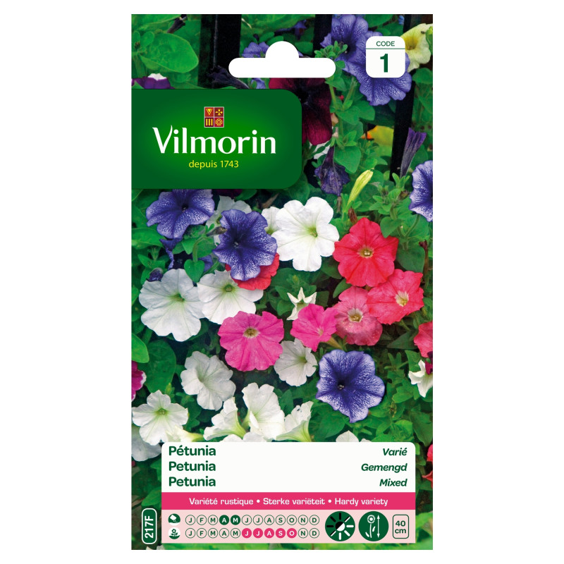 Semences de pétunia Nain varié VILMORIN