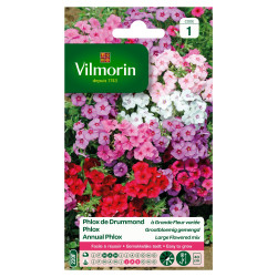 Semences de phlox de Drummond Grande Fleur variée VILMORIN