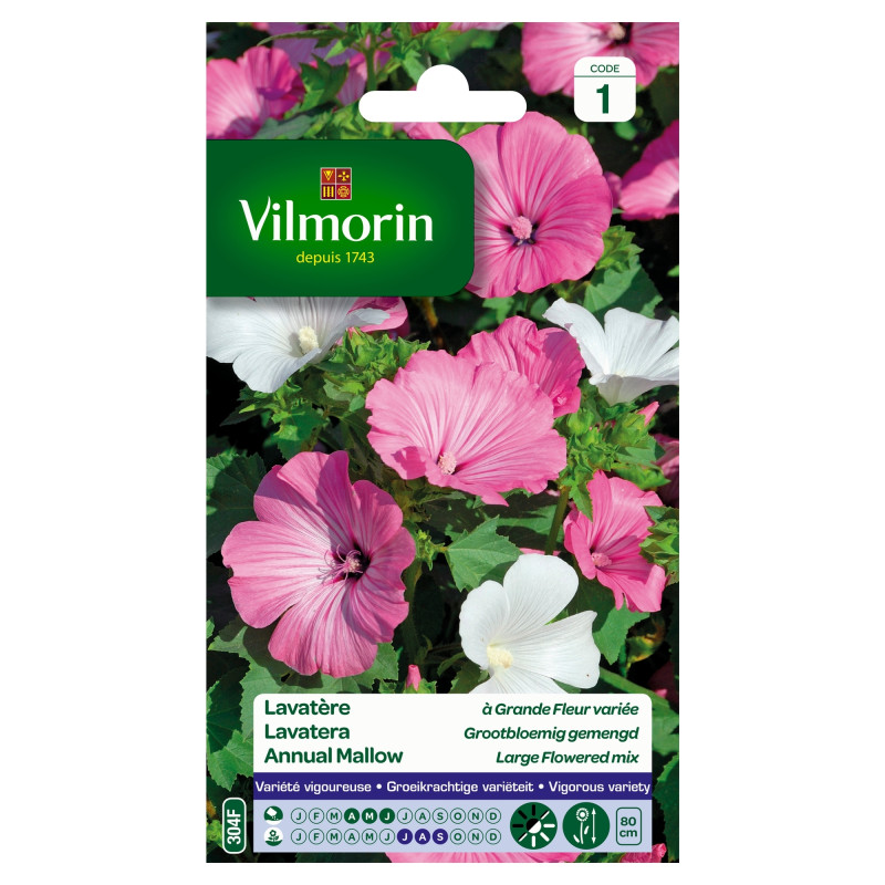 Semences de lavatère Grande Fleur variée VILMORIN