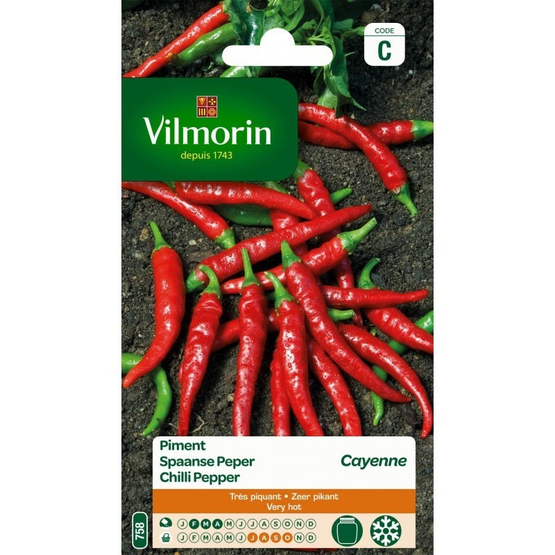 Semences de piment VILMORIN