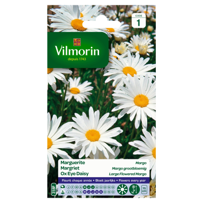 Semences de chrysanthème VILMORIN