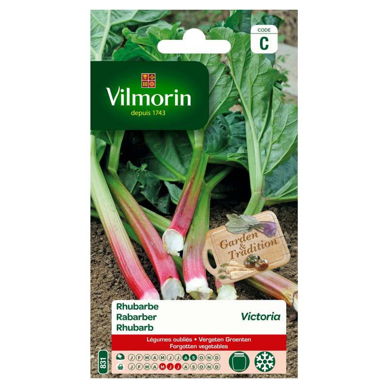 Semences de rhubarbe Victoria VILMORIN