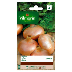 Semences Oignon Paille des Vertus – Facile à cultiver | VILMORIN
