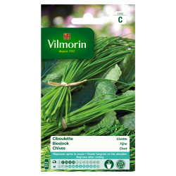 Semences Ciboulette Civette VILMORIN – Facile à cultiver | VILMORIN