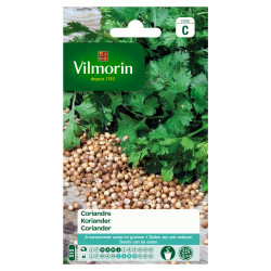 Semences de coriandre cultivée VILMORIN – Récolte facile | VILMORIN