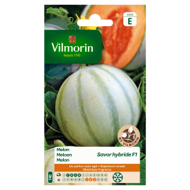 Semences de melon Savor hybride F1 VILMORIN