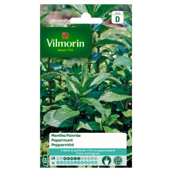 Semences Menthe Poivrée VILMORIN – Cultivez votre jardin | VILMORIN
