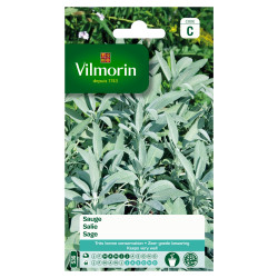 Semences de sauge VILMORIN – Cultivez votre jardin | VILMORIN