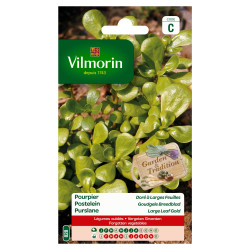 Semences Pourpier Doré VILMORIN – Facile à cultiver | VILMORIN