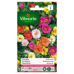 Semences Pourpier Double Varié – Fleurs Colorées | VILMORIN