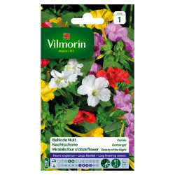 Semences Belle de Nuit Variée – Fleurs Colorées | VILMORIN

