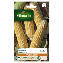 Semences Maïs Sucré Rustler – Récolte Abondante | VILMORIN

