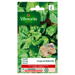Semences Oseille Belleville – Large & Savoureuse | VILMORIN