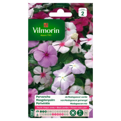 Semences Pervenche Madagascar Variée – Fleuraison Abondante | VILMORIN
