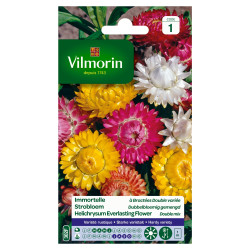 Semences Immortelle Bractées Double Variée – Fleurissez votre jardin | VILMORIN