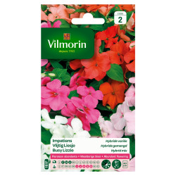 Semences Impatiens Hybride Variée – Fleurs Colorées | VILMORIN

