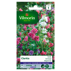 Semences Clarkia Variée VILMORIN – Fleurs Éclatantes | VILMORIN

