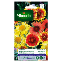 Semences Gaillarde Grandes Fleurs VILMORIN – Fleurir votre jardin | VILMORIN