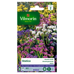 Semences Statice Sinuata Variée – Fleurs Éclatantes | VILMORIN

