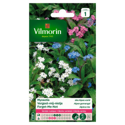 Semences Myosotis des Alpes Varié – Fleurissez votre jardin | VILMORIN