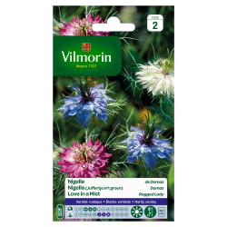 Semences Nigelle de Damas VILMORIN – Fleurissez votre jardin | VILMORIN