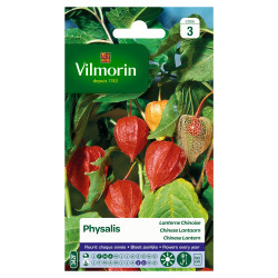Semences Physalis Lanterne Chinoise – Jardin Facile | VILMORIN