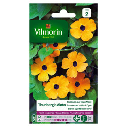 Semences Thunbergia Suzanne aux yeux noirs – Fleurissez votre jardin | VILMORIN