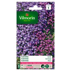 Semences Aubriétia Variée VILMORIN – Fleurissement Coloré | VILMORIN