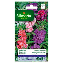 Semences Balsamine Camélia Double Variée – Fleurs Éclatantes | VILMORIN