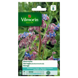 Semences de bourrache VILMORIN – Cultivez facilement | VILMORIN